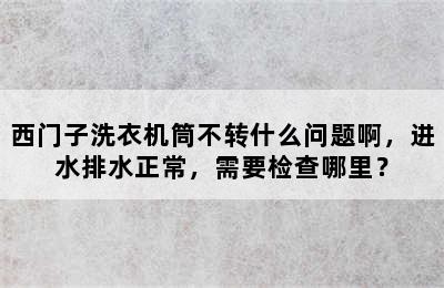 西门子洗衣机筒不转什么问题啊，进水排水正常，需要检查哪里？