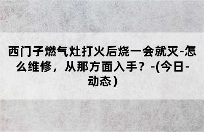 西门子燃气灶打火后烧一会就灭-怎么维修，从那方面入手？-(今日-动态）