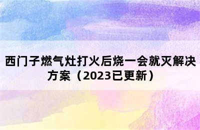 西门子燃气灶打火后烧一会就灭解决方案（2023已更新）