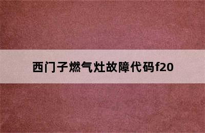 西门子燃气灶故障代码f20