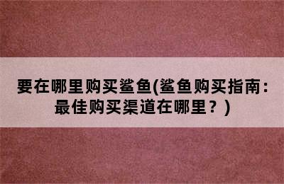 要在哪里购买鲨鱼(鲨鱼购买指南：最佳购买渠道在哪里？)