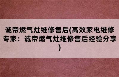 诚帝燃气灶维修售后(高效家电维修专家：诚帝燃气灶维修售后经验分享)