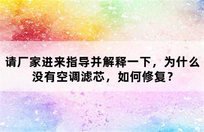 请厂家进来指导并解释一下，为什么没有空调滤芯，如何修复？