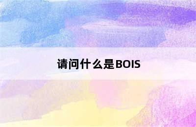 请问什么是BOIS