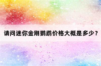 请问迷你金刚鹦鹉价格大概是多少？