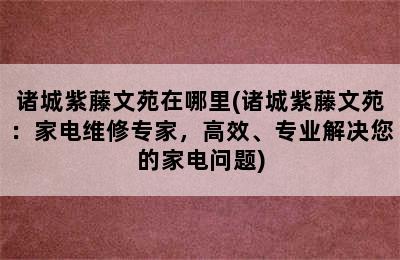 诸城紫藤文苑在哪里(诸城紫藤文苑：家电维修专家，高效、专业解决您的家电问题)