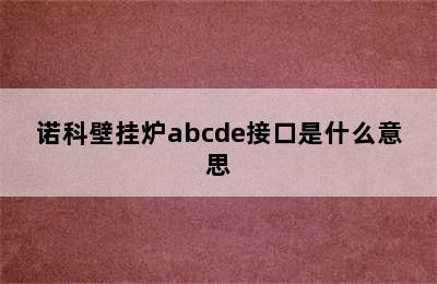 诺科壁挂炉abcde接口是什么意思