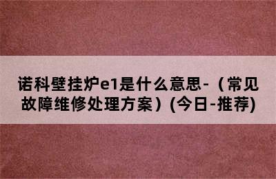 诺科壁挂炉e1是什么意思-（常见故障维修处理方案）(今日-推荐)