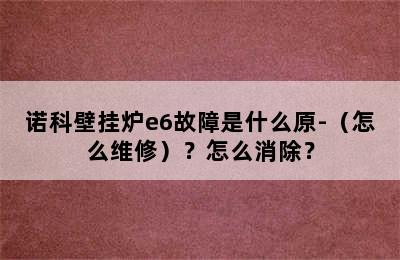 诺科壁挂炉e6故障是什么原-（怎么维修）？怎么消除？