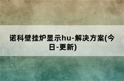 诺科壁挂炉显示hu-解决方案(今日-更新)