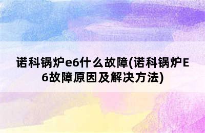 诺科锅炉e6什么故障(诺科锅炉E6故障原因及解决方法)