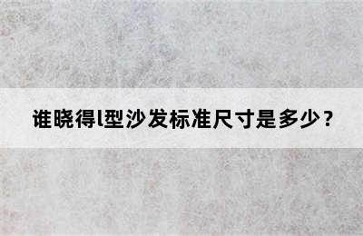 谁晓得l型沙发标准尺寸是多少？