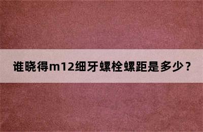 谁晓得m12细牙螺栓螺距是多少？