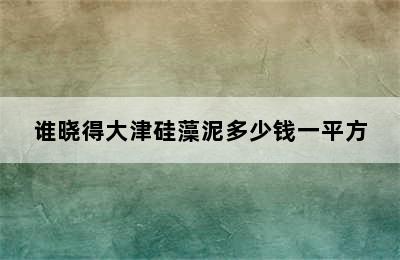 谁晓得大津硅藻泥多少钱一平方