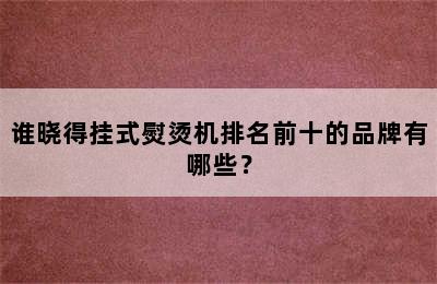 谁晓得挂式熨烫机排名前十的品牌有哪些？