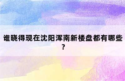 谁晓得现在沈阳浑南新楼盘都有哪些？