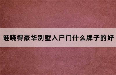 谁晓得豪华别墅入户门什么牌子的好