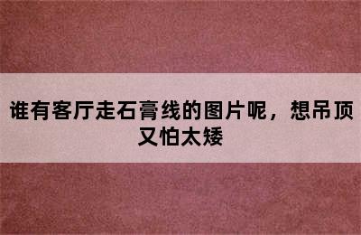 谁有客厅走石膏线的图片呢，想吊顶又怕太矮