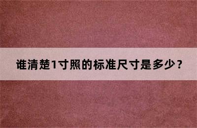 谁清楚1寸照的标准尺寸是多少？