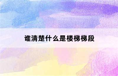 谁清楚什么是楼梯梯段