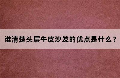 谁清楚头层牛皮沙发的优点是什么？