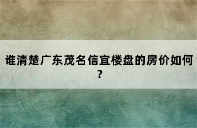 谁清楚广东茂名信宜楼盘的房价如何？