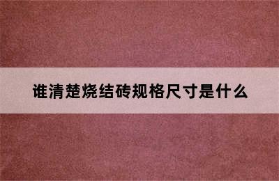 谁清楚烧结砖规格尺寸是什么