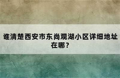 谁清楚西安市东尚观湖小区详细地址在哪？