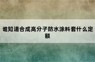 谁知道合成高分子防水涂料套什么定额