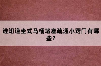 谁知道坐式马桶堵塞疏通小窍门有哪些？