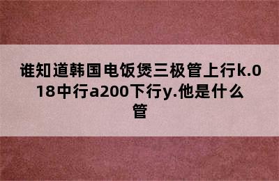 谁知道韩国电饭煲三极管上行k.018中行a200下行y.他是什么管