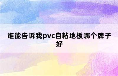 谁能告诉我pvc自粘地板哪个牌子好