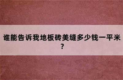 谁能告诉我地板砖美缝多少钱一平米？