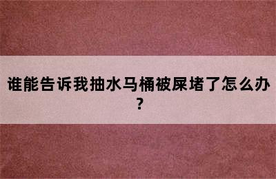 谁能告诉我抽水马桶被屎堵了怎么办？