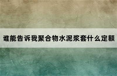 谁能告诉我聚合物水泥浆套什么定额