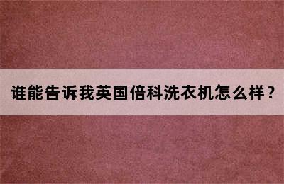 谁能告诉我英国倍科洗衣机怎么样？