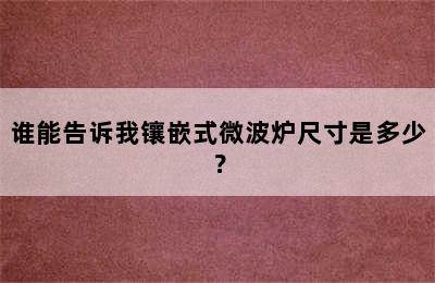 谁能告诉我镶嵌式微波炉尺寸是多少？