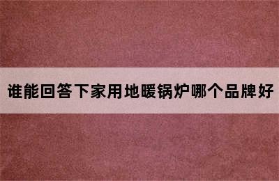 谁能回答下家用地暖锅炉哪个品牌好