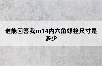 谁能回答我m14内六角螺栓尺寸是多少