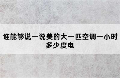 谁能够说一说美的大一匹空调一小时多少度电