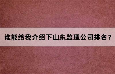 谁能给我介绍下山东监理公司排名？