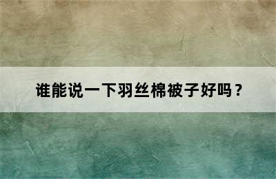 谁能说一下羽丝棉被子好吗？