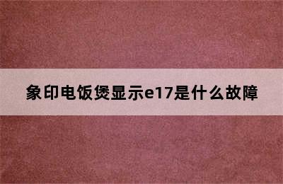 象印电饭煲显示e17是什么故障