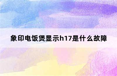 象印电饭煲显示h17是什么故障