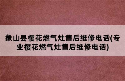 象山县樱花燃气灶售后维修电话(专业樱花燃气灶售后维修电话)