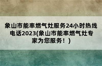 象山市能率燃气灶服务24小时热线电话2023(象山市能率燃气灶专家为您服务！)