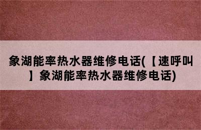 象湖能率热水器维修电话(【速呼叫】象湖能率热水器维修电话)