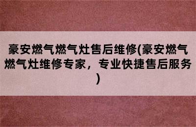 豪安燃气燃气灶售后维修(豪安燃气燃气灶维修专家，专业快捷售后服务)