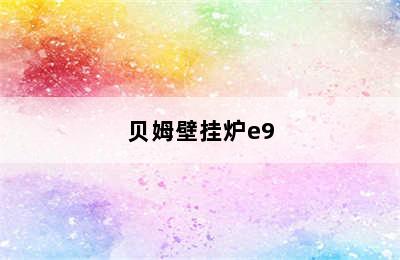 贝姆壁挂炉e9