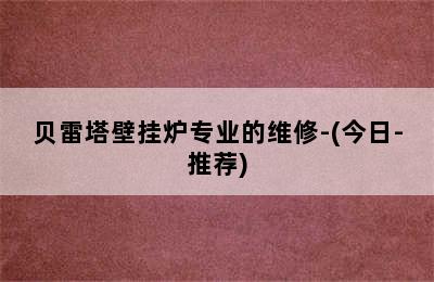 贝雷塔壁挂炉专业的维修-(今日-推荐)